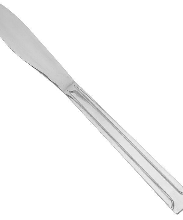 Thunder Group SLDO009 Domilion dinner knife in 18/0 stainless steel, full-length view