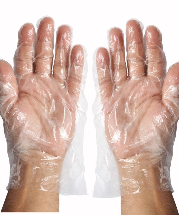 Disposable Gloves | Winco GLP-L | RHQ Supplies