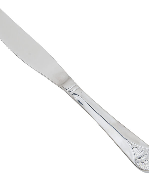 Thunder Group SLEL209 Elizabeth dinner knife in 420 stainless steel, full view